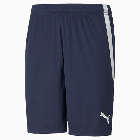 PUMA Men SHORTS | 70492406
