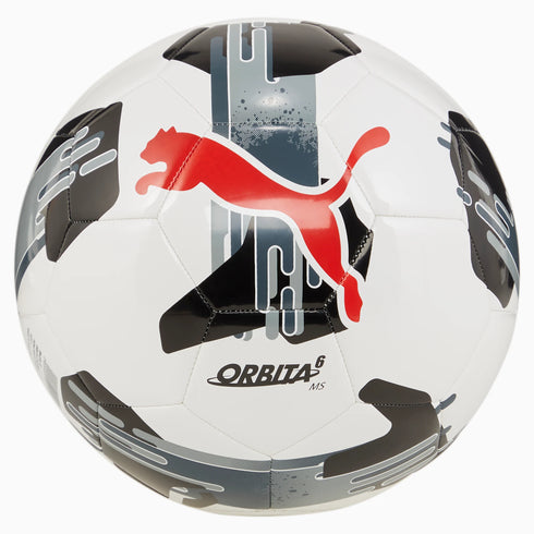 PUMA Men TRAINING BALLS | 08433502