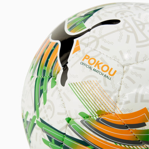 PUMA Men TRAINING BALLS | 08455601